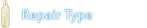 REPAIR TYPE